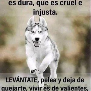 Meet your Posher, Amparo